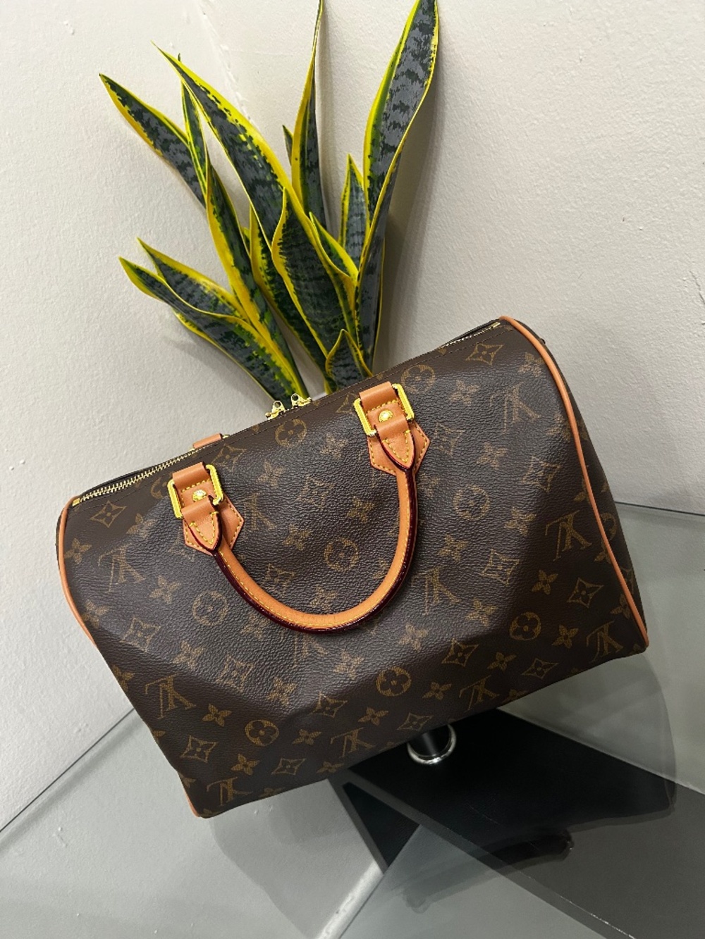 Louis Vuitton Speedy 30 handbag